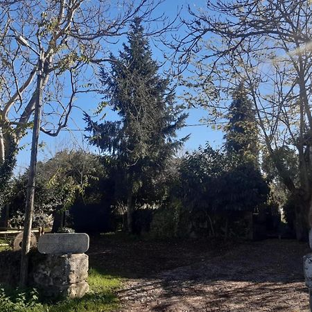 Pazo San Lorenzo- Puebla De Trives Екстериор снимка